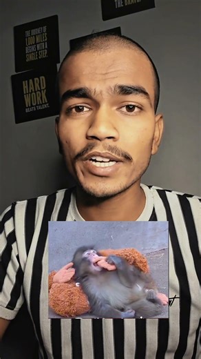 viral donkey 'punch' story 😊 #shorts