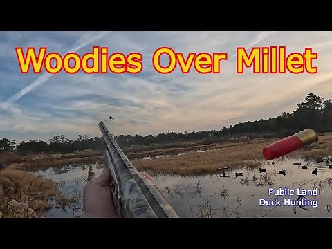 North River Gameland | Public Land Duck Hunting in North Carolina