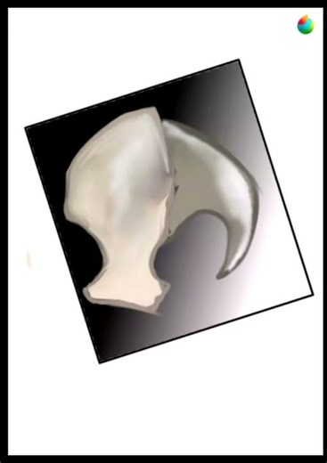 Tiger Claw speed drawing