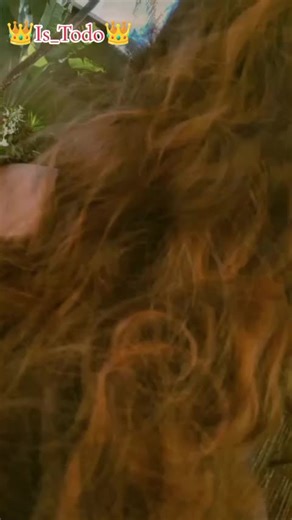 Videos de El Moscon Farándulero (@el.moscon.farndul) con “sonido original - El Moscon Farándulero”