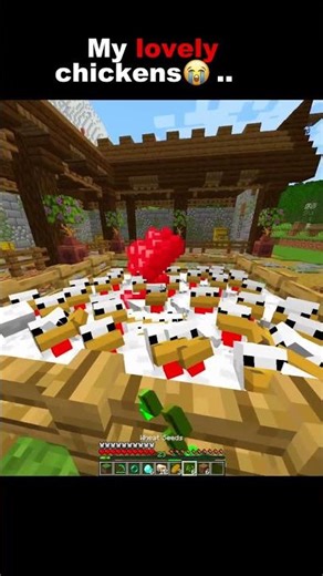 My Lovely Chickens #minecraft #shorts