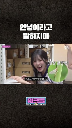 선후배 티키타카 레전드