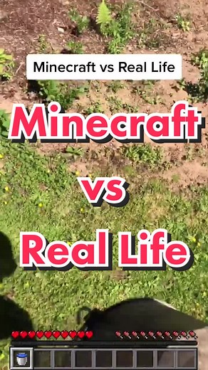The Painful Challenge of Minecraft vs Real Life