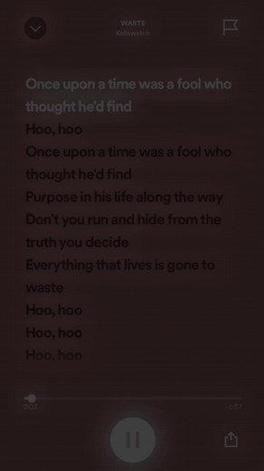 Waste-Kxllswxtch.#fyp #foryoupage #lyrics #lyrics