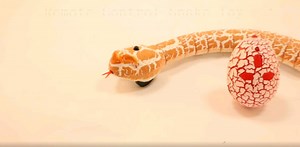 Watch RC Snake Toy on Amazon Live