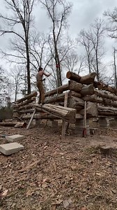 Massive Log Cabin Project: Adding More Sticks to the Build