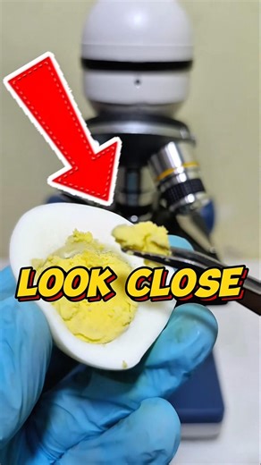 This Is What a Boiled Egg Really Looks Like Up Close 🥚