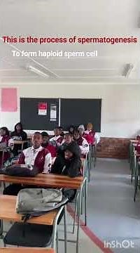 grade 12 life sciences human reproduction spermatogenesis. Xolani Ngo books to beats