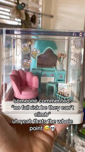 for old ladies and lil babies☀️ p.s. you need a #jumpingspider #jumpingspiderspet #jumpingspideroftiktok #jumpingspiderenclosure #spider