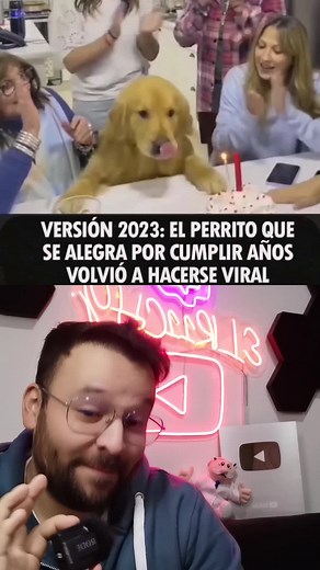 Perrito que se pone contento al escuchar Feliz Cumpleaños se vuelve viral nuevamente