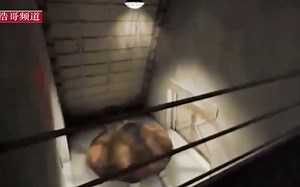 盘点来到地球上的外星人种类和UFO形状