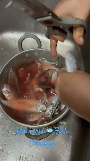 Quick and easy mackerel cleaning: step-by-step guide for perfectly prepped fish! bangda fish cutting