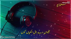 8K views · 217 shares | New Saraiki Song Status | Bin Matlab De | Cheif Studio | اساں آپ سرائیکی | Facebook
