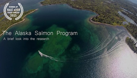 The Alaska Salmon Program - A brief look into the research