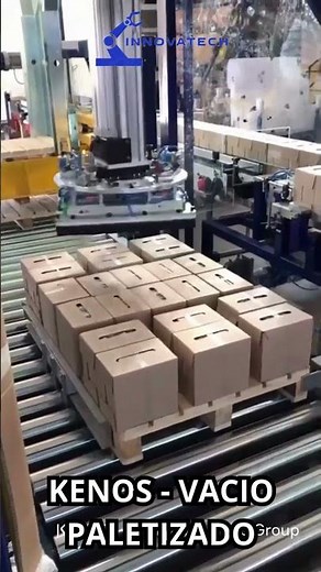 ✅Gantry + Gripper Kenos Vacio para Paletizado de cajas #automatizacion #automation 🦾