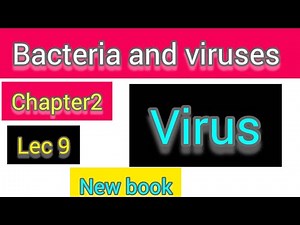 Virus. Size, shape and internal structure of viruses.