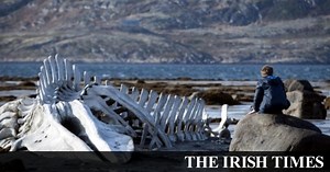 Leviathan review: an uneasy allegory on modern Russia