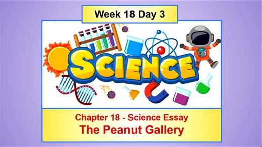 18/3 - Ch 18 Essay - Science