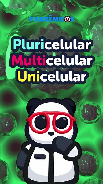 Diferença entre Uni, Multi e Pluricelulares na Biologia
