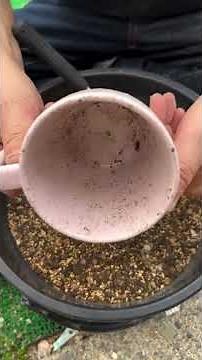 陶器の入れ物に穴をあける方法