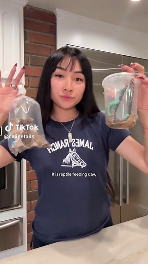 Let’s feed my reptiles✨🐍🦎 #reptiles #reptilefeeding #reptilesoftiktok