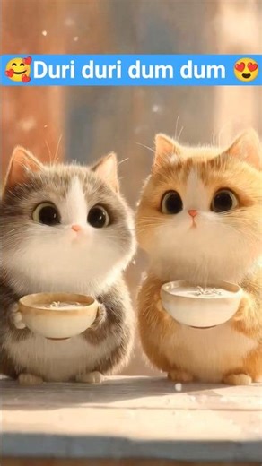 cute cat dudi dudi Dum dum 😍#cute #cat #shorts #dudidudidam#song #shortsviral#subscribe #rhyme #cat