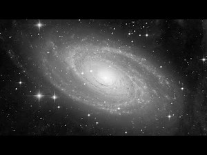 MALLEABLE 𓆩✧𓆪