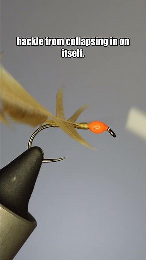 Reverse Spider | Fly Tying Tutorial