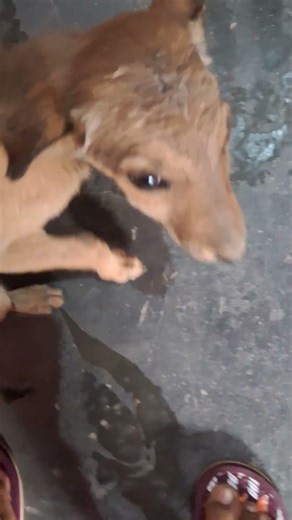 ma tara lshq ma mar na jau