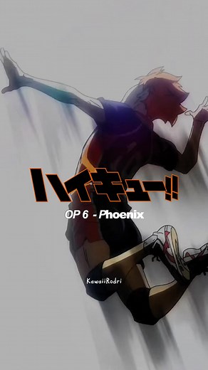 Haikyuu!! OP 6 | Phoenix | 🖤