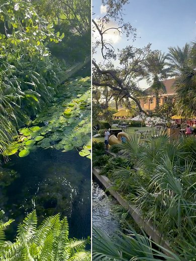 3.4K views · 104 reactions | Beautiful views and fresh Florida breezes await you at Ulele ☀️ When was the last time you visited the natural springs beside our restaurant? This week, we are open during regular hours today on Wednesday and on Friday — and closed on Thursday, Nov. 27 for the holiday. Come enjoy the flavors and comforts of Ulele.  To book a reservation, visit Ulele.com or call (813)999-4952. | Ulele | Facebook