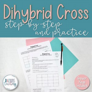 Dihybrid Cross