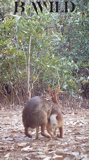 37K views · 2.6K reactions | Explore Earth on Reels | Facebook