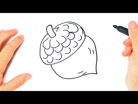 How to draw a Acorn Step by Step | Acorn Drawing Lesson