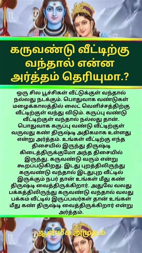 கருவண்டு வீட்டிற்கு வந்தால் என்ன அர்த்தம் தெரியுமா.?