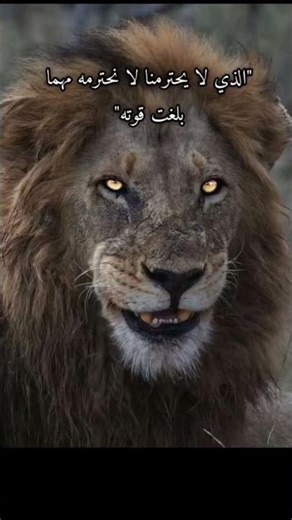 #ultras_taraji #esperance_sportive_de_tunis #est_vs_ess #curva_sud #tatouine #ultras #ca #virage_ta