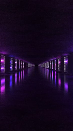 Insane Shadow | How To Make a Hidden Piston Door In Minecraft PE or Java Edition Material Use in Building up • 12 Pistons • 8 Redstone Dusts • 2... | Instagram