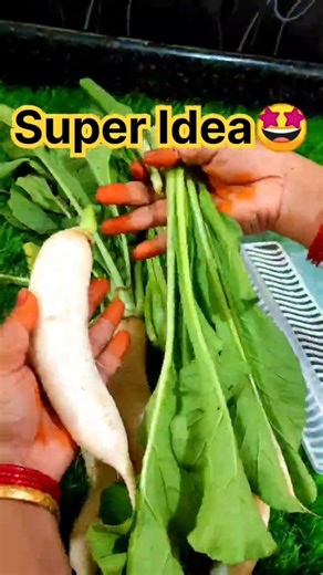🤩அட இது நல்ல ஐடியாவா இருக்கே🤔Storage Tips🤔Radish Spinach Kitchen Tip#shorts #tips #viralvideo #hacks