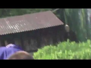 The Slenderman Sighting 2012