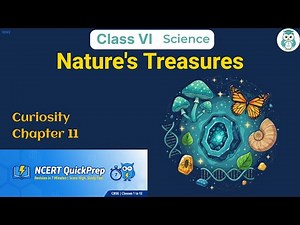 Nature's Treasures | Class 6 Science Chapter 11 | CBSE NCERT | Quick Revision in 7 Mins