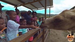 Looking for something fun to do with the entire family? We are open ALL SUMMER LONG!! | Safari Eco Park