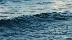 12 reactions | "SUSAN" is streaming now! Watch the film here: www.susansdoc.com/watchsusansdoc #susansdoc #kkpfilm #EndDementiaStigma | Susan - A Feature Documentary | Facebook