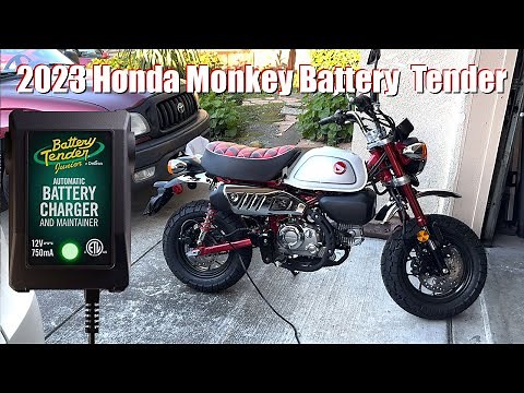 2023 Honda Monkey Battery Tender install