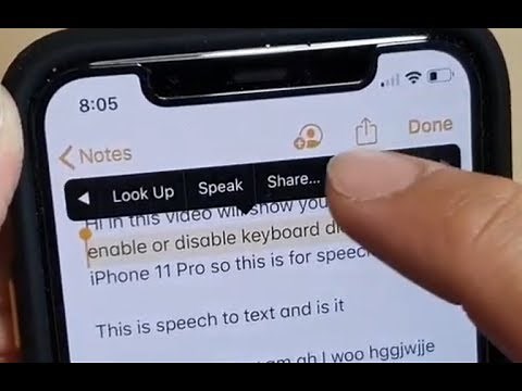 iPhone 11 Pro: How to Speak / Read Aloud Selected Text
