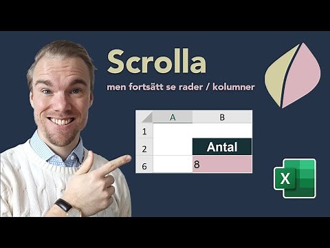 Excel - Behåll rader/kolumner när du scrollar, så att de alltid syns