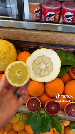 Italian Lemons: Exploring the Giant Citrus Marvels of Italy