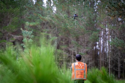 Tech to trees as forestry drones take off