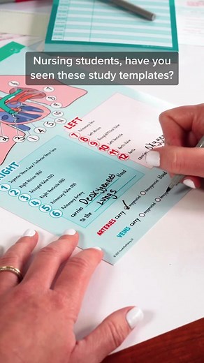 Nursing School Laminated Study Templates & Worksheets