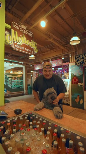 Los Agaves Dog Friendly Kitchen! #dog ##chefjaimemendezseattle #micheladas #hidengem #tiktokfood Video Powered By @Erick Ramirez @Pike Place Market @Seattle Aquarium 🪼 @Downtown Seattle Association
