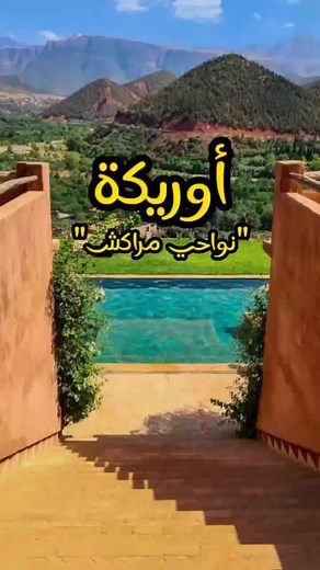 Luxurious Swimming Pool in Serene Outdoor Setting